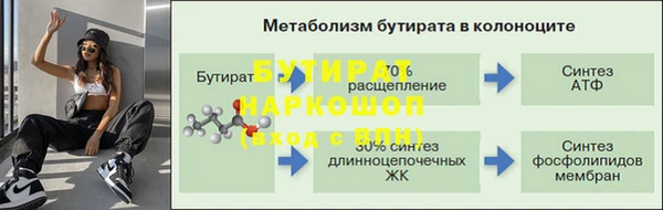 гидра Алексин